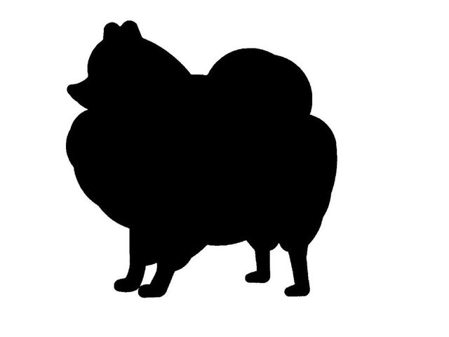 640x480 Quiz Can You Identify The Dog Breed By Its Silhouette