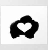 190x200 Silhouette Poms Amcan Ch. Silhouette's Swan Lake (Can. Grp