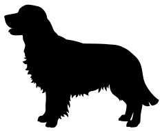 235x190 Golden Retriever Dog Silhouette Vector Art Illustration