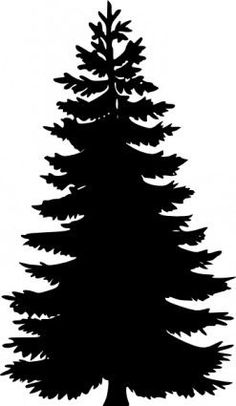 236x406 Fir Tree Black And White