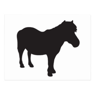 307x307 Pony Silhouette Postcards Zazzle