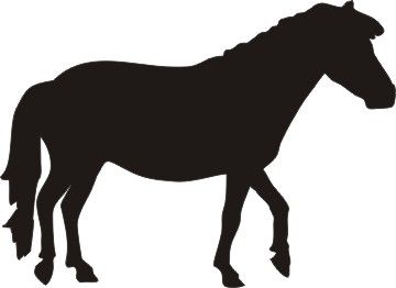 360x262 Shetland Pony Horse Silhouette Decal 6 X 4 Fabricpainting