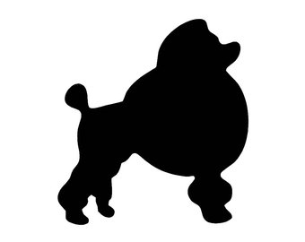 340x270 Poodle Decal Etsy