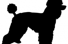 228x150 Poodle Silhouette Coloring Page 2019