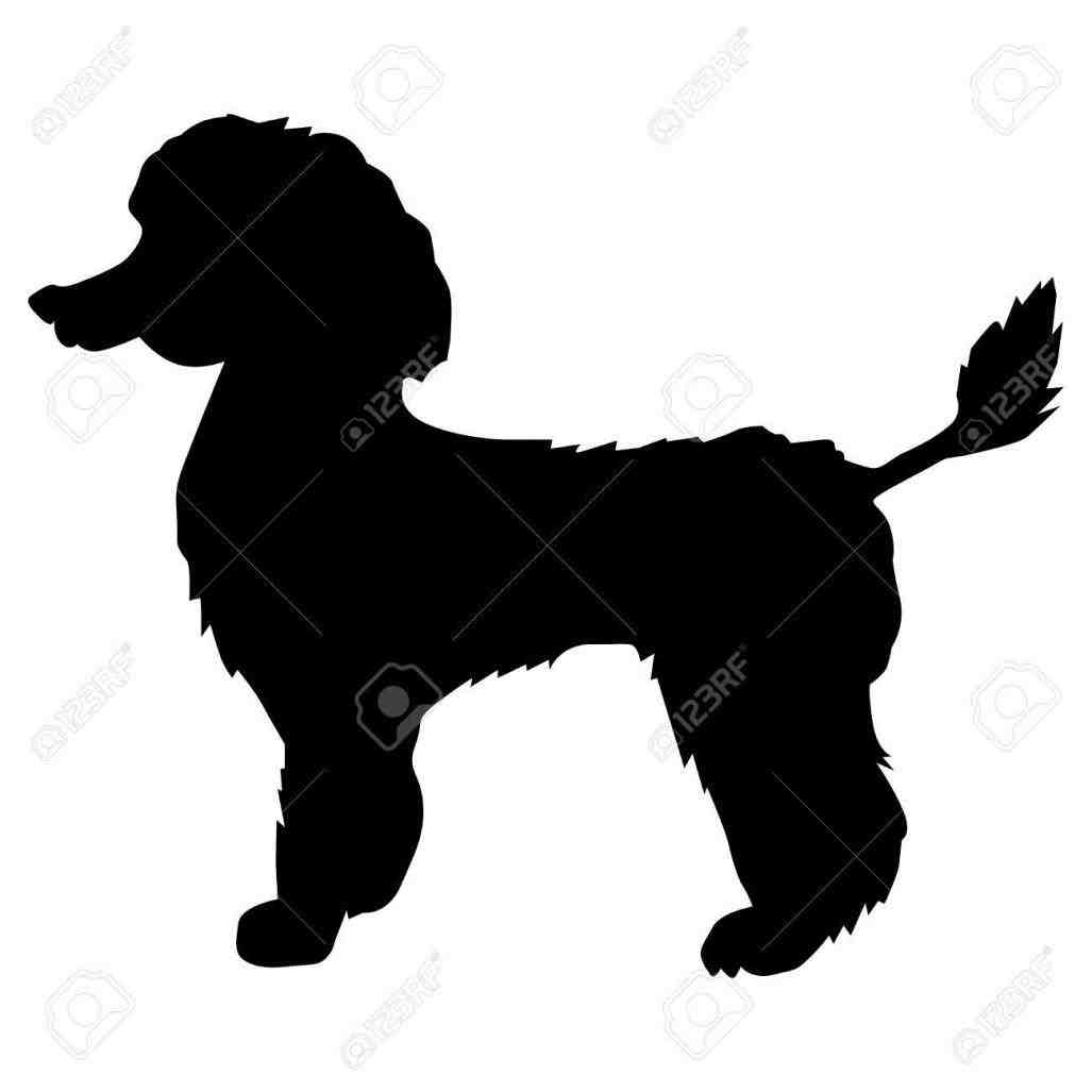 1027x1027 Poodle Silhouettes Clipart Clip Art Library Silhouette Set Vector