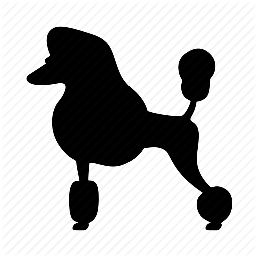 512x512 Animal, Dog, Doggy, Hair Style, Pet, Poodle, Silhouette Icon