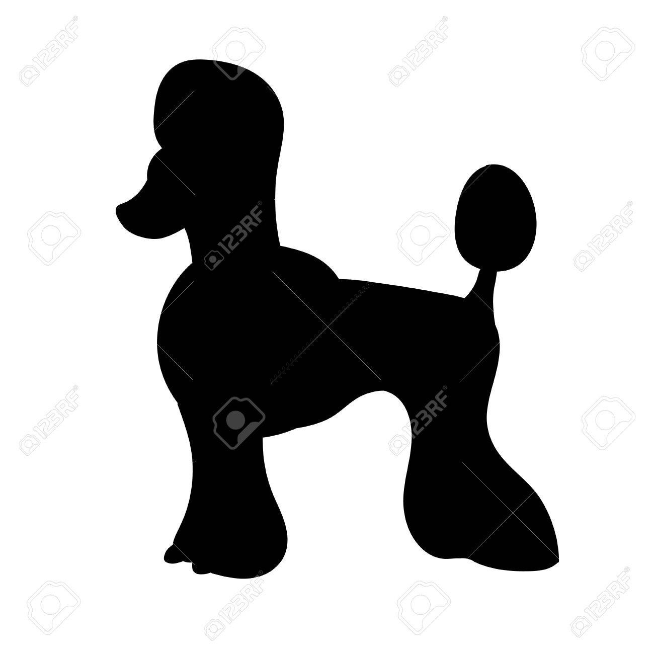 1300x1300 Silhouette Of Poodle Isolated On White Background Funny Dog