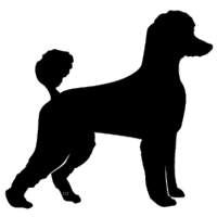 200x200 Free Clipart Poodle