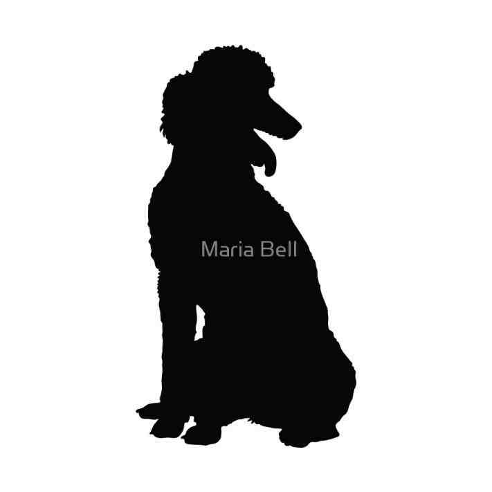711x711 Sitting Poodle Silhouette Animalsee.club