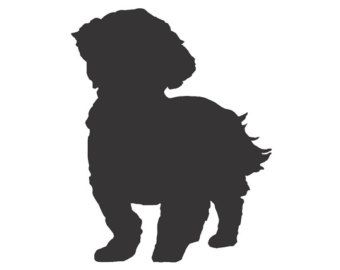 340x270 Shih Tzu Puppy Cut Clipart