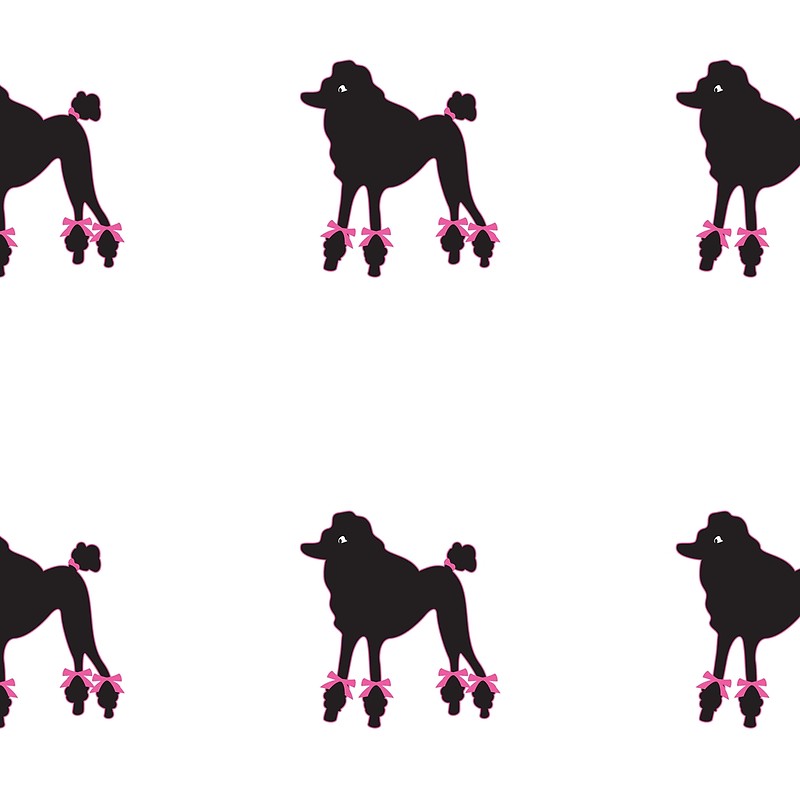 800x800 Poodle Skirt 1950s Sock Hop Costume Record Hop Dance Scarves By