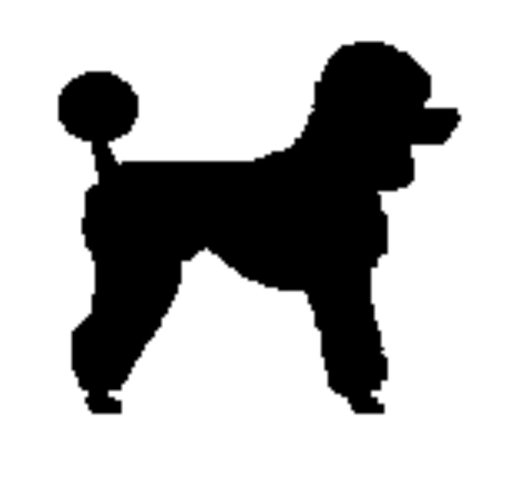 1000x954 Poodle Images Clip Art