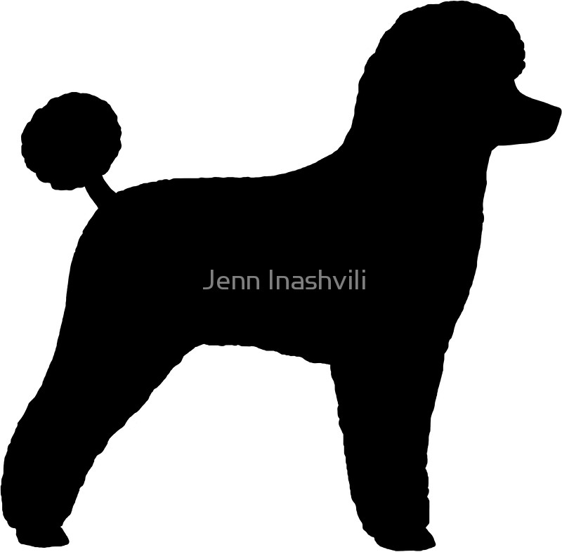 800x786 Black Toy Poodle Silhouette(S) Stickers By Jenn Inashvili Redbubble