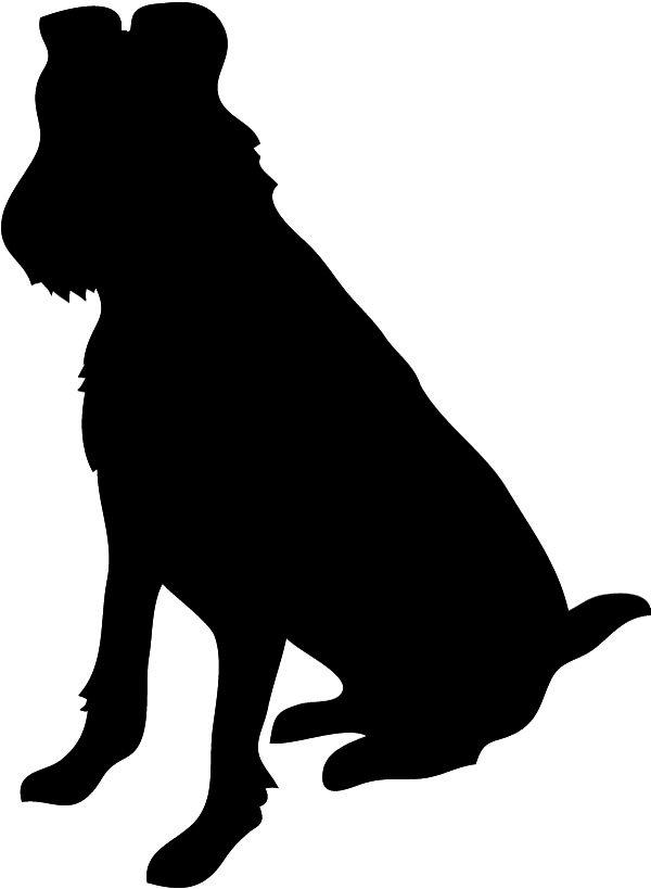 600x819 Poodle Clipart Vector