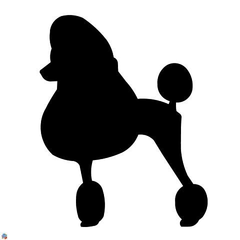 480x480 Poodle Silhouette