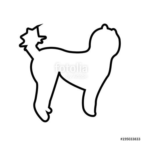 500x500 Poodle Silhouette Clip Art Outline On White Background Stock
