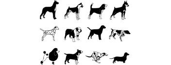 352x135 Poodle Clip Art, Free Vector Poodle