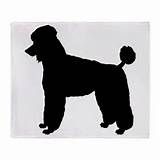 Poodle Skirt Silhouette