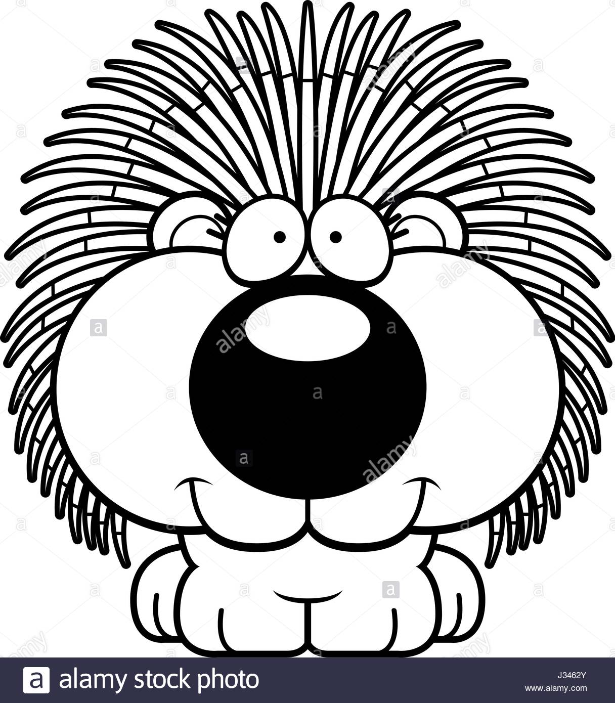 1216x1390 Porcupine Black And White Stock Photos Amp Images