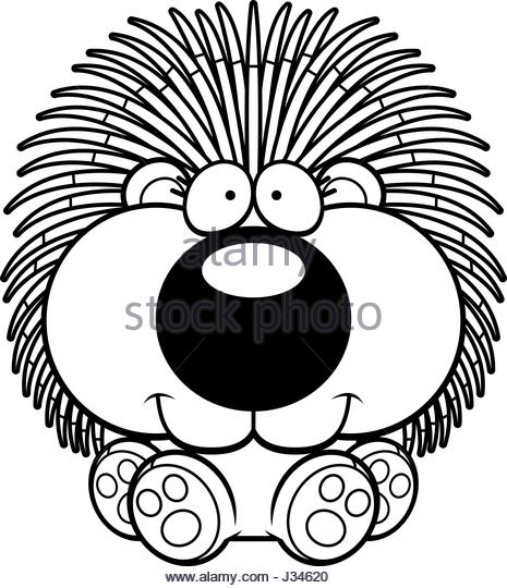 465x540 Porcupine Illustration Black And White Stock Photos Amp Images