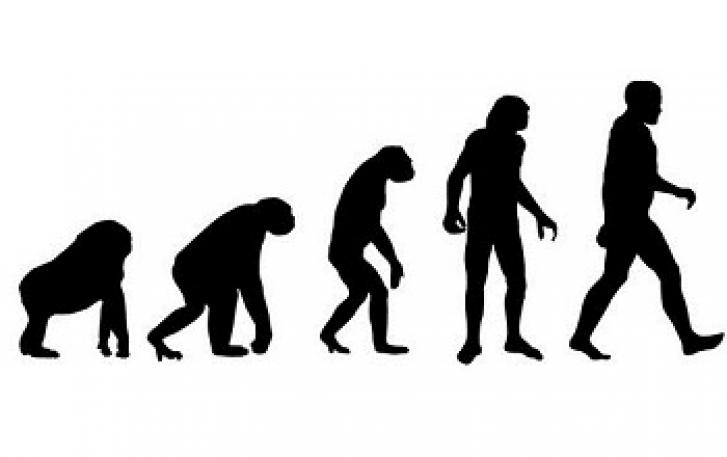 727x457 Science Pub Portland History Of Evolution Omsi