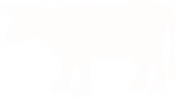 600x329 White Cow Silhouette White Cow, Silhouettes