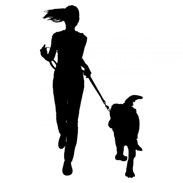 600x600 Services Snappy Paws