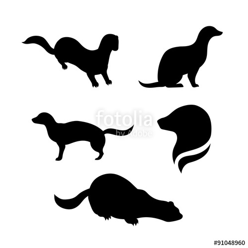 500x500 Vector Silhouettes Of A Opossum. Stock Image And Royalty Free