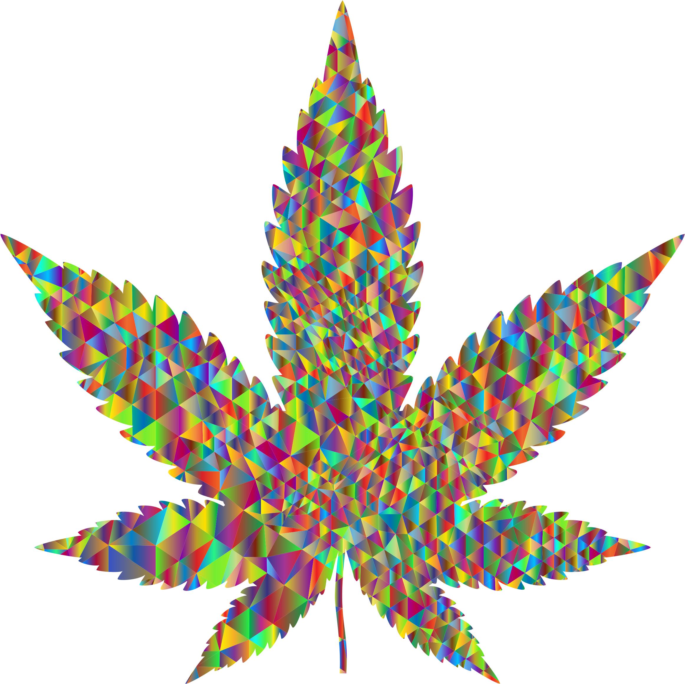 2324x2320 Marijuana Leaf Silhouette Icons Png