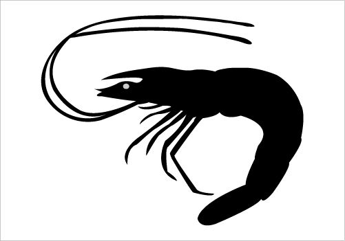 501x351 Shrimp Silhouette Graphics Fish Silhouette