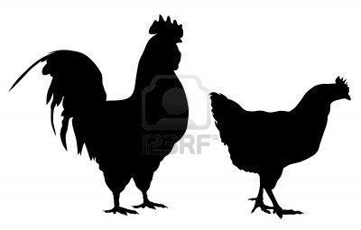 400x255 Illustration Vectorielle Abstraite Des Silhouettes Coq Et De La