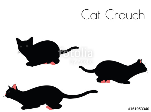 500x372 Cat Silhouette In Crouch Pose Stock Image And Royalty Free Vector