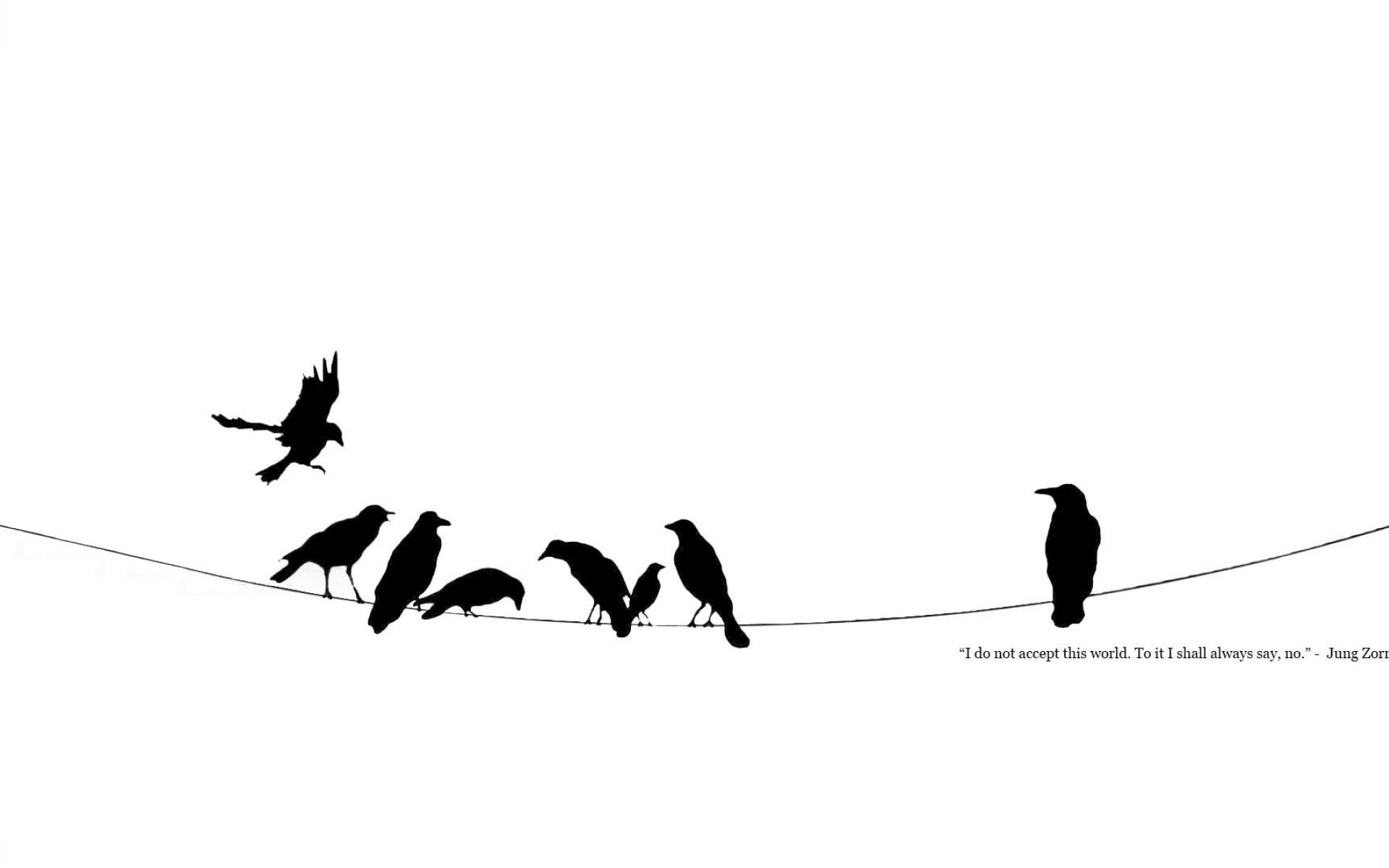 1920x1200 Black And White Crows Minimalistic Power Lines Quotes Wallpaper