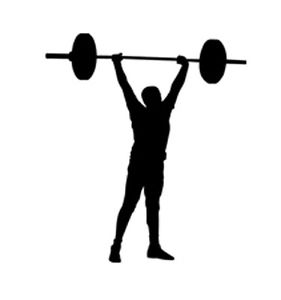 281x300 Sport Silhouette