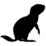 160x160 Prairie Dog Silhouette Vector Graphics Stock Image And Royalty