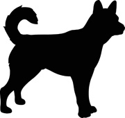 180x170 Search Results For Dog