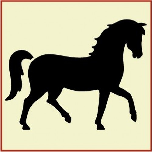500x500 Animal Horse Prancing Horse