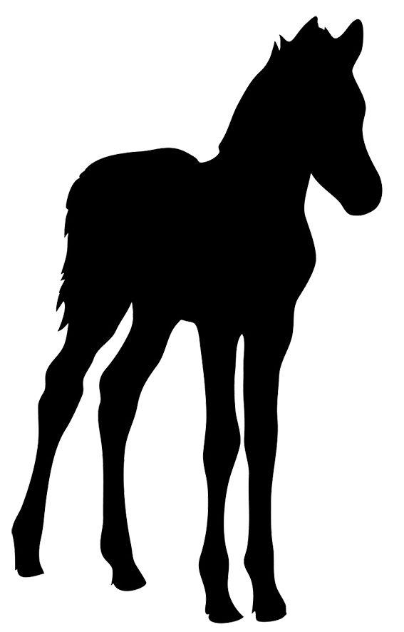 567x886 Foal Clipart Head