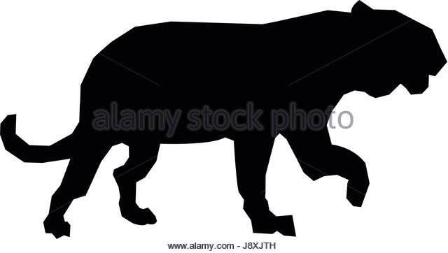 640x362 Wildcat Stock Vector Images