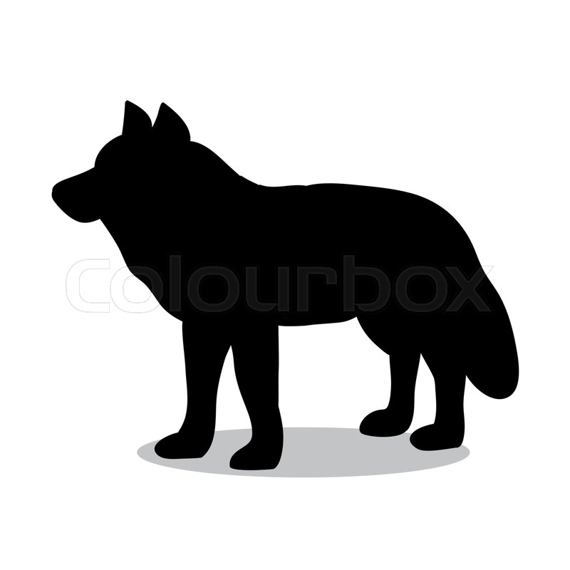 800x800 Wolf Predator Black Silhouette Animal. Vector Illustrator. Stock
