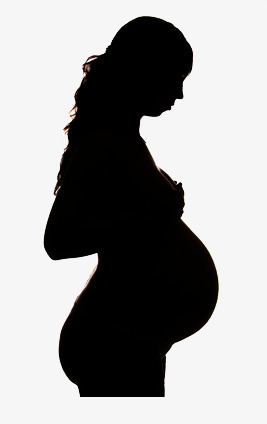 267x424 Pregnancy Silhouette, Female, Baoma, Care Png Image And Clipart