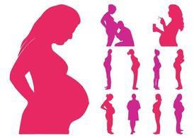 274x195 Pregnant Belly Clip Art, Free Vector Pregnant Belly