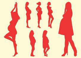 274x195 Pregnant Belly Clip Art, Free Vector Pregnant Belly