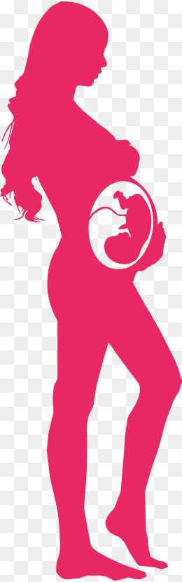 260x830 Pregnant Png, Vectors, Psd, And Clipart For Free Download Pngtree