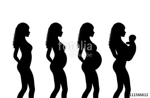 500x326 Pregnant Woman Silhouette, Stages Of Pregnancy Stock Image