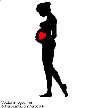 335x355 Download Pregnant Woman Heart In Tummy