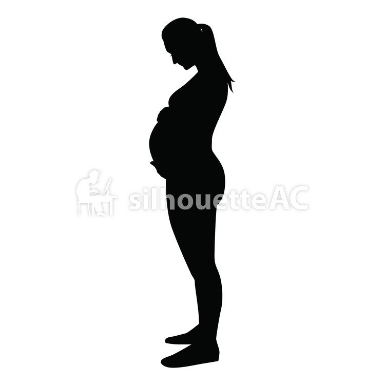 750x750 Free Silhouette Vector An Illustration