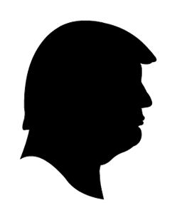 249x285 President Trump