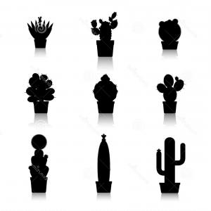 300x300 Cute Cactus Icon Silhouette Vector Illustration Shopatcloth