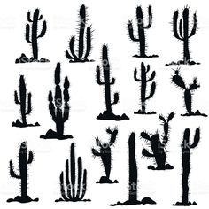 236x236 Black And White Cartoon Cactus Set Cartoon